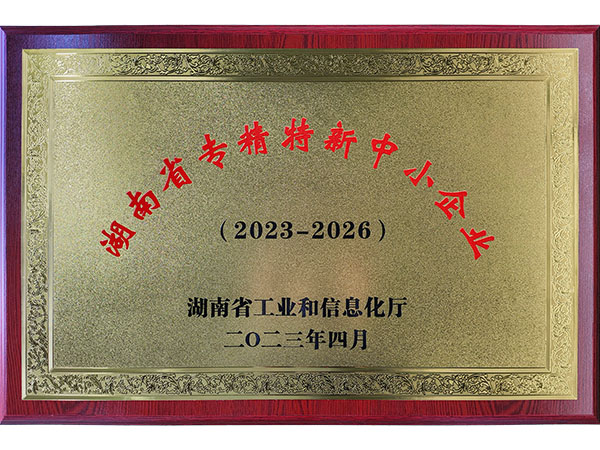 Specialized, specialized and innovative small and medium-sized enterprises