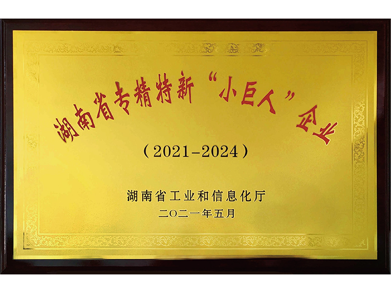 Hunan Province’s Specialized, Refined, Specialized and Innovative “Little Giant” Enterprise